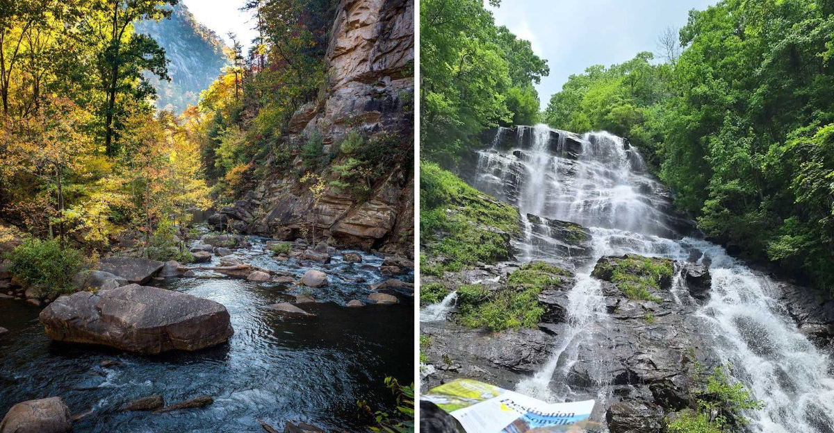 These 12 Under The Radar Georgia Swimming Spots Are Everything Summer Should Feel Like - Decor Hint