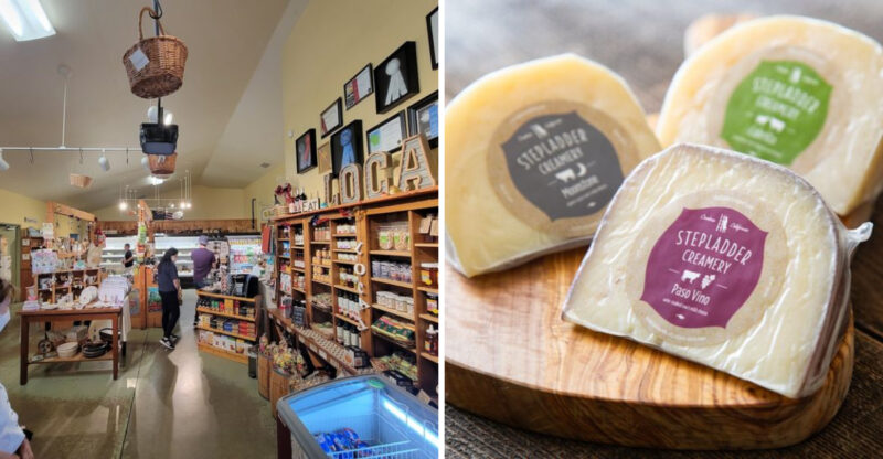These 13 California Cheese Shops, Creameries, And Dairy Farms Are Open To Visitors