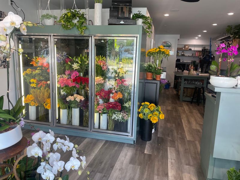 Racanello Florist, Stamford