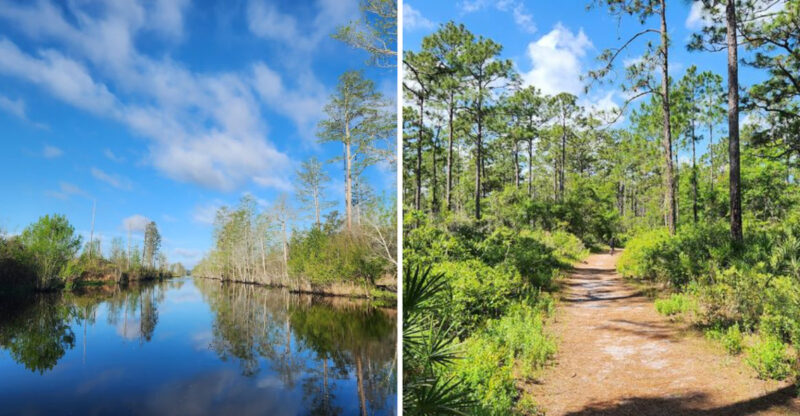 These 14 Charming Coastal Campgrounds In Georgia Feel Almost Too Peaceful To Be Real