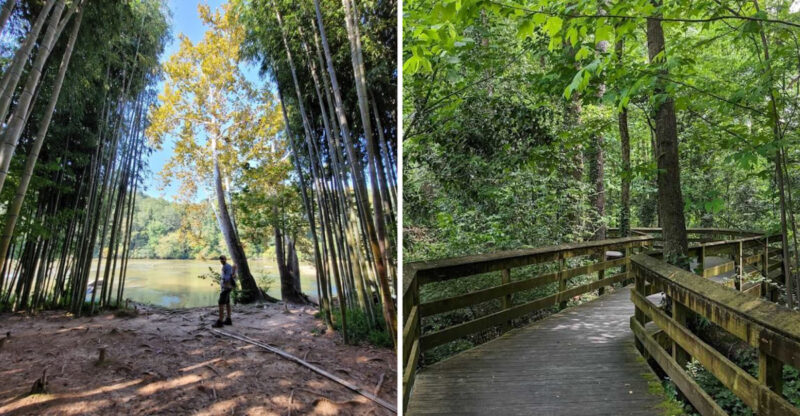 These 14 Hikes Are All Less Than 30 Minutes Near Atlanta, Georgia And Most Locals Have Never Done Them All