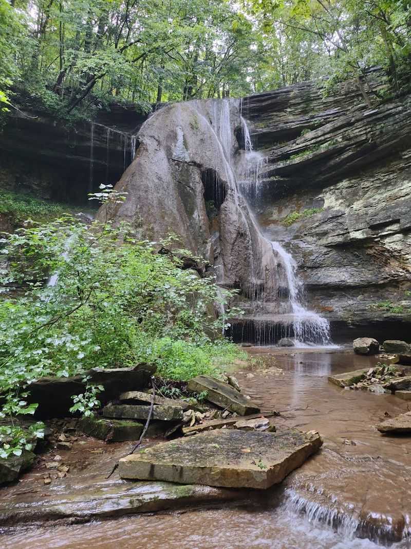 These 14 Kentucky Birdwatching Destinations Feel Like Hidden Front-Row Seats To Nature - Decor Hint Floracliff Nature Sanctuary