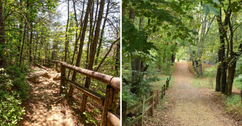 These 14 Kentucky Birdwatching Destinations Feel Like Hidden Front-Row Seats To Nature