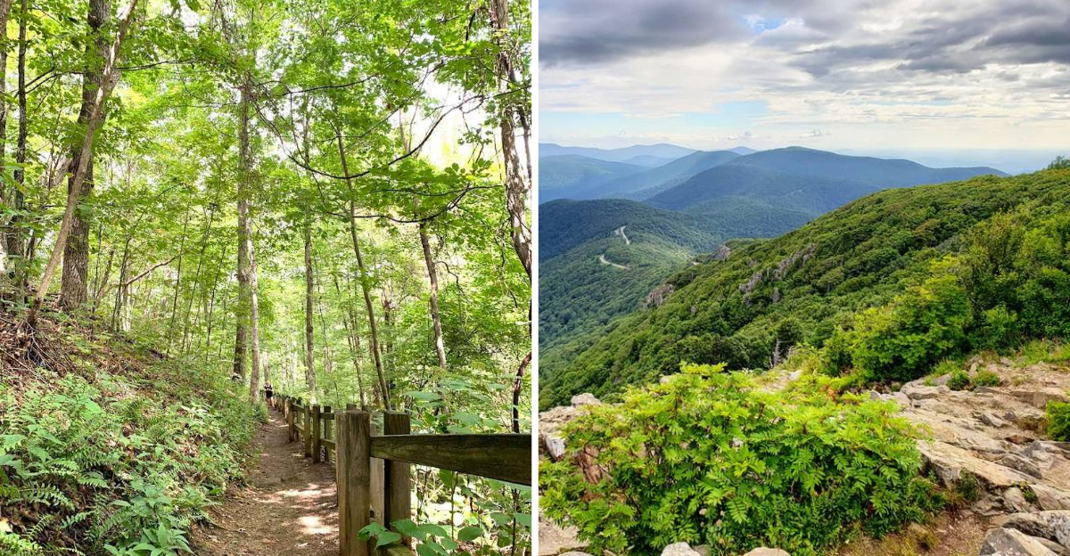 These 14 Virginia Hikes Deliver Memorable Views And Lasting Impressions - Decor Hint