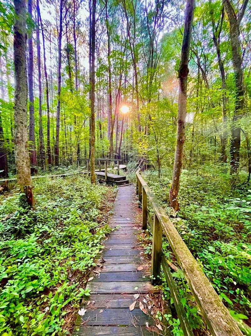 These 15 Georgia Birdwatching Spots Feel Like Hidden Premium Seats To Nature - Decor Hint Clyde Shepherd Nature Preserve