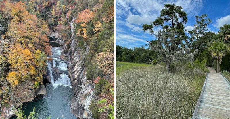 These 15 Georgia Birdwatching Spots Feel Like Hidden Premium Seats To Nature