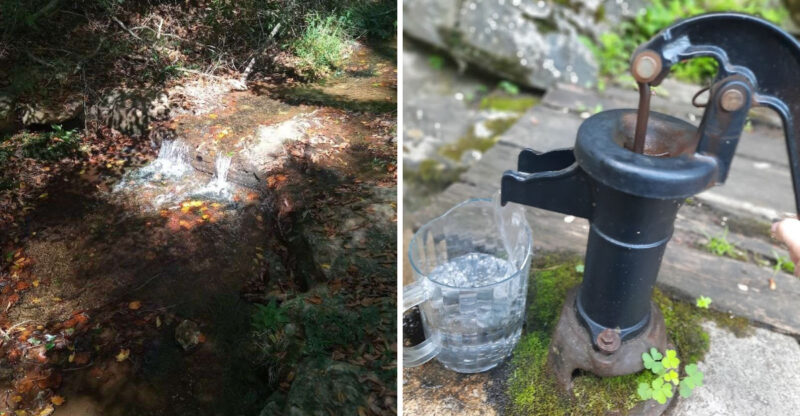 These 7 North Carolina Springs Where You Can Sip Fresh Water Straight From Nature