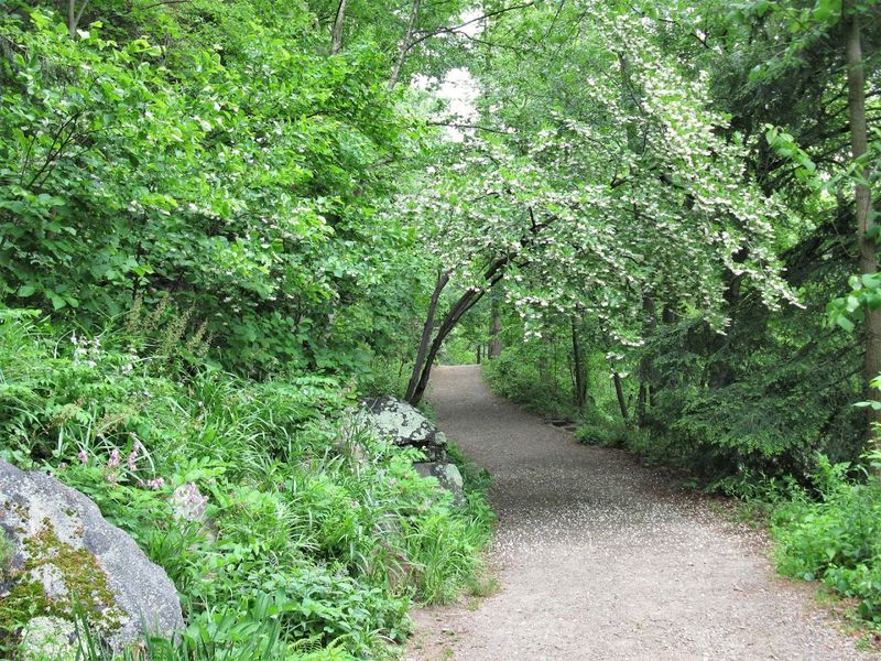 Asheville Botanical Garden Trail