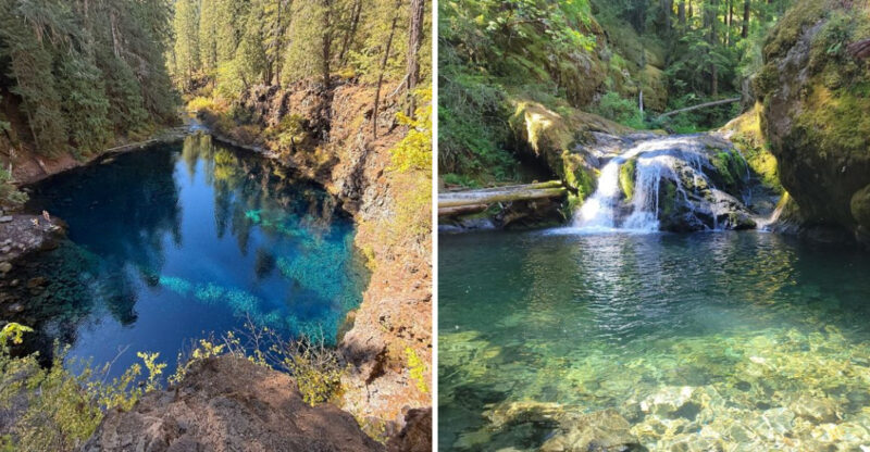 These 9 Oregon Swimming Holes Are So Beautiful Locals Will Lie About Where They Are