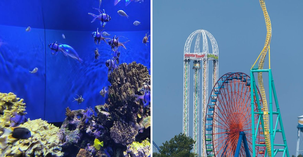 These 9 Unique Ohio Adventures Deserve A Spot On Your Bucket List - Decor Hint