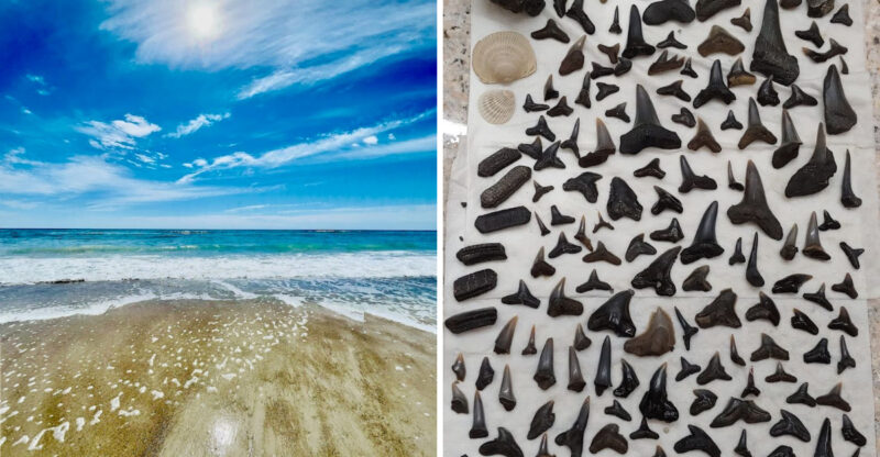 These Are The Best North Carolina Places To Find Shark Teeth, Gemstones, Quartz, And More