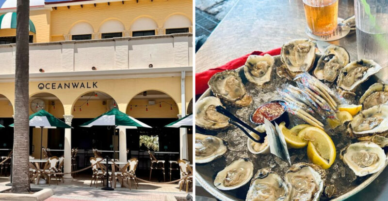 These Florida Seafood Restaurants Are Worth The Drive In 2026