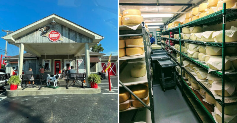 These Kentucky Creameries, Dairy Stops, And Farm Markets Are Worth Visiting