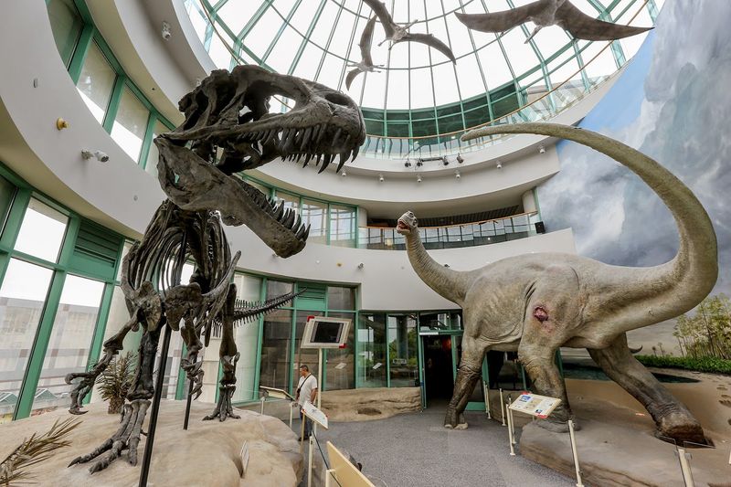 North Carolina Museum Of Natural Sciences