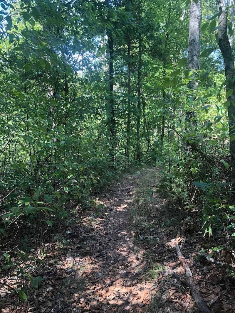 These Peaceful Connecticut Loop Trails Feel Like A Hidden Woodland Escape - Decor Hint A Quiet Ramble Through The Woods