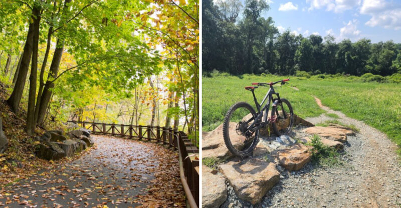These Scenic Delaware Hikes Make Weekend Plans Feel Effortless