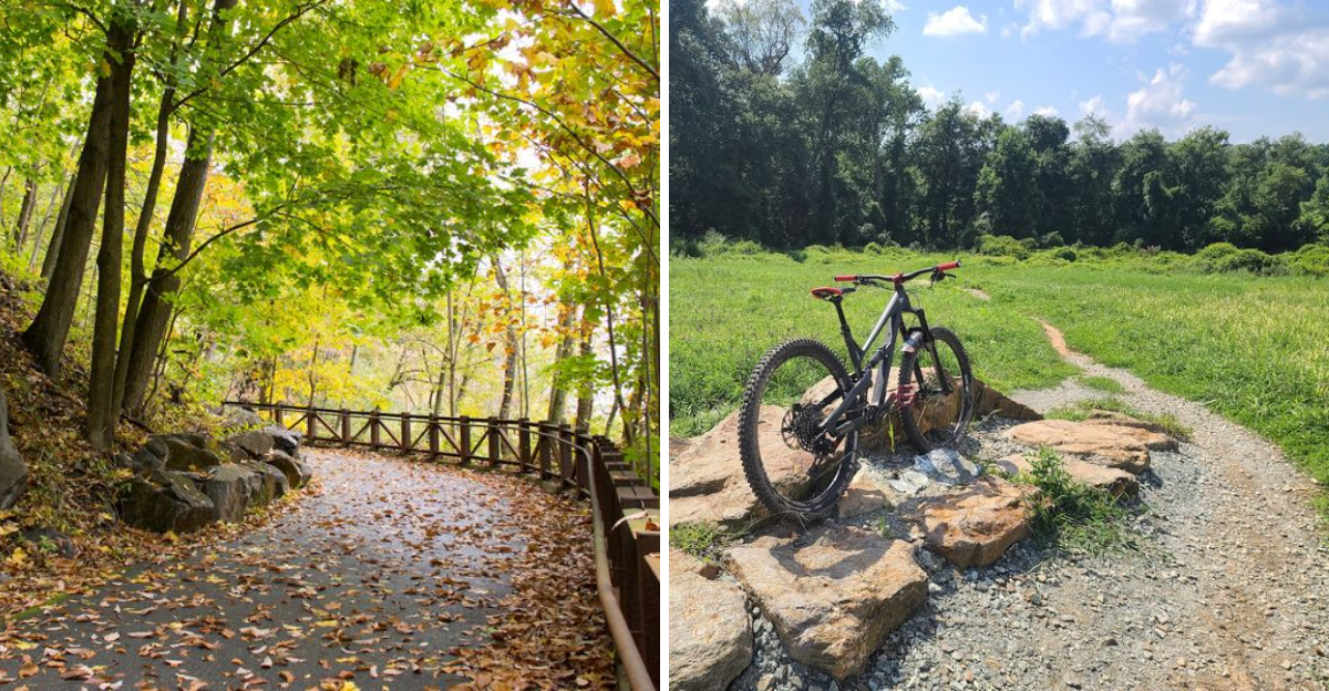 These Scenic Delaware Hikes Make Weekend Plans Feel Effortless - Decor Hint