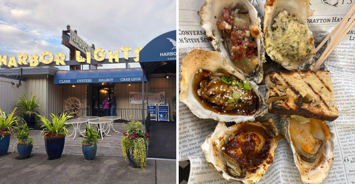 These Washington Oyster Spots Serve Fresh Coastal Flavor That Seafood Lovers Wont Forget - Decor Hint