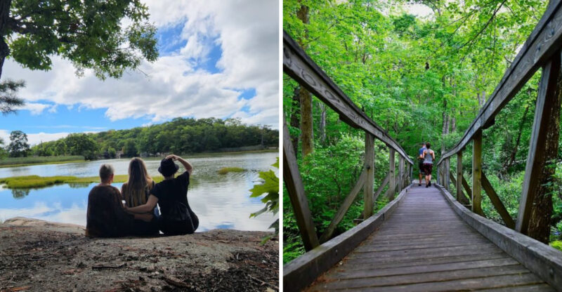 This 17,000-Acre State Forest In Connecticut Is One Of The State’s Best-Kept Secrets
