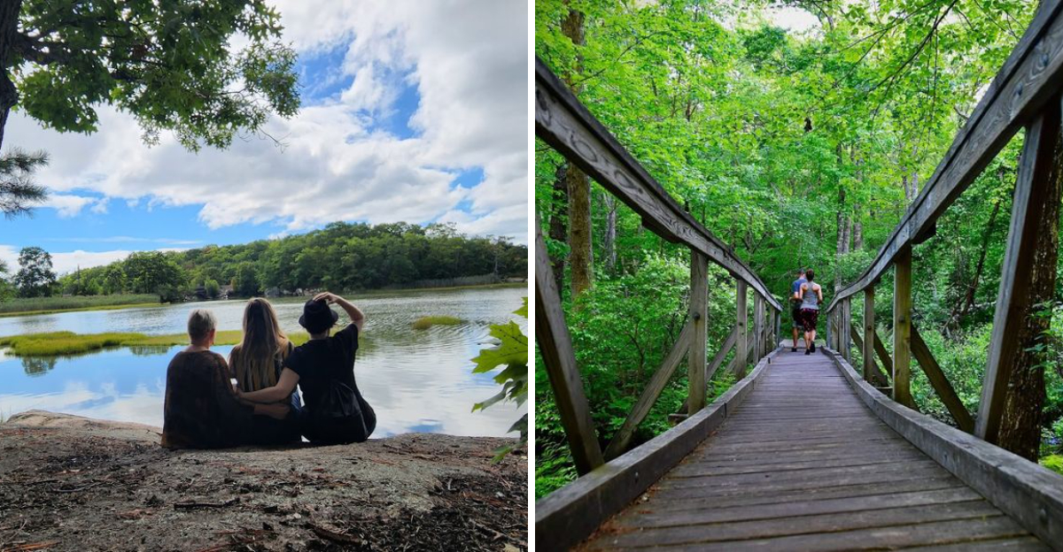 This 17000 Acre State Forest In Connecticut Is One Of The States Best Kept Secrets - Decor Hint