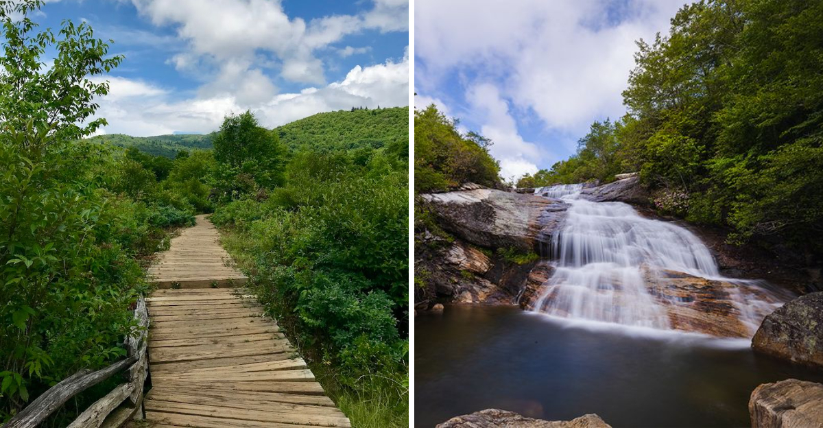 This 2.3 Mile North Carolina Trail Is Our July Waterfall Hike Of The Month - Decor Hint