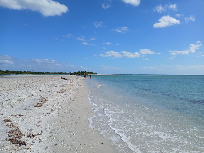 A Mile Of Undeveloped Shoreline That Feels Like A Different Era