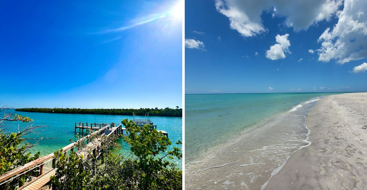 This 245 Acre State Park Is One Of Floridas Most Rewarding Outdoor Destinations 3 - Decor Hint