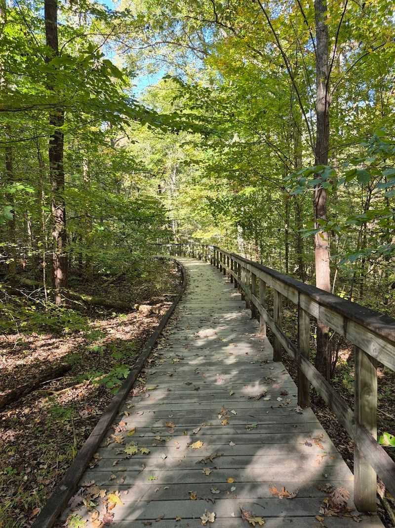The Trail That Starts It All