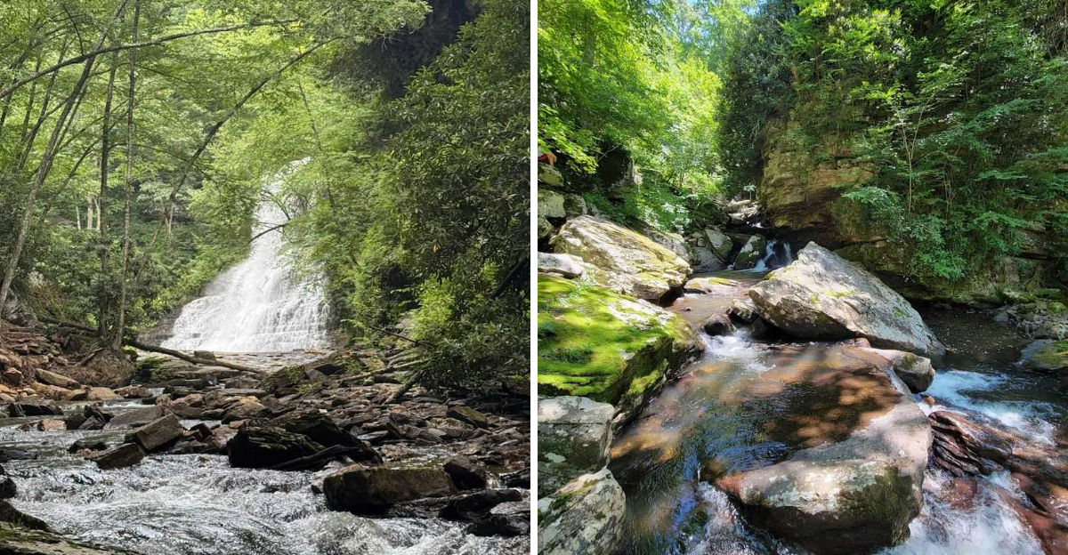 This 4.4 Mile Virginia Trail Takes You To A 69 Foot Waterfall Perfect For Swimming - Decor Hint