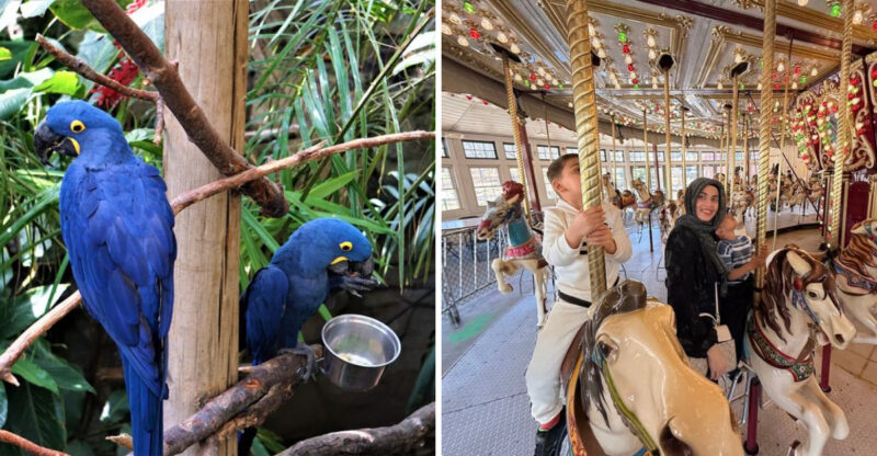 This 435-Acre Rhode Island Park Is The Perfect Low-Cost Family Day Out