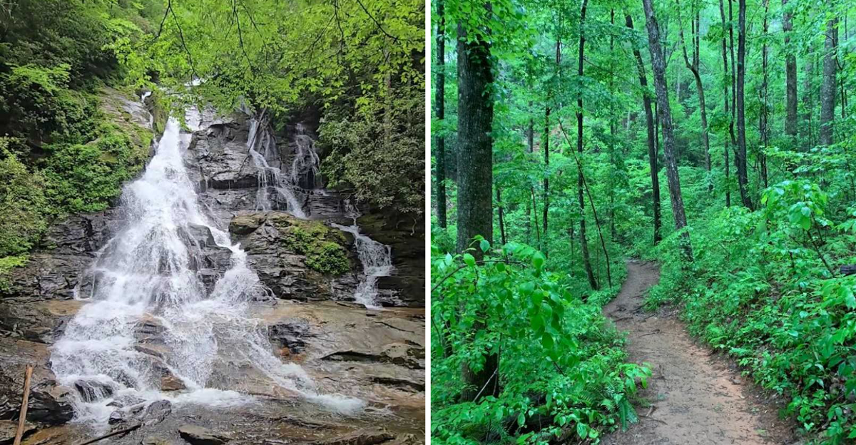 This Beautiful Georgia Waterfall Hike Rewards You With Two Falls And A Place To Wade In - Decor Hint