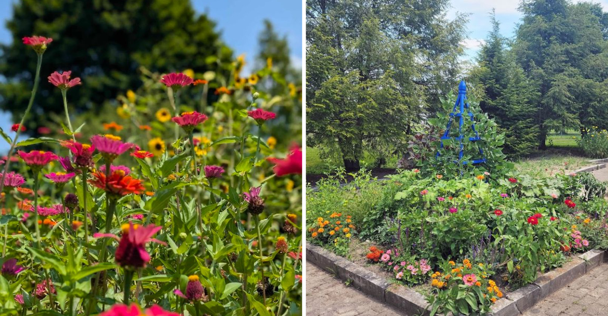 This Beautiful Kentucky Botanic Garden Comes Alive With Color In Summer - Decor Hint