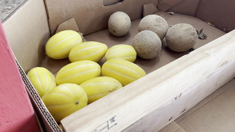 Fresh Summer Fruit Gives This Brentwood Stop Its Main Pull