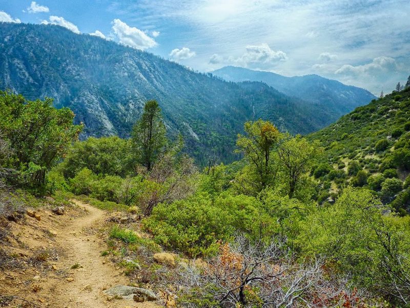 The Road Climbs To A Real 9,200-Foot Pass