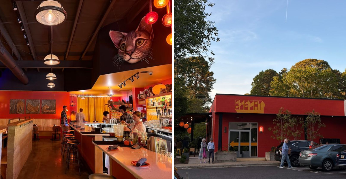 This Cat Themed North Carolina Restaurant Is A Dream Come True For Feline Fanatics - Decor Hint