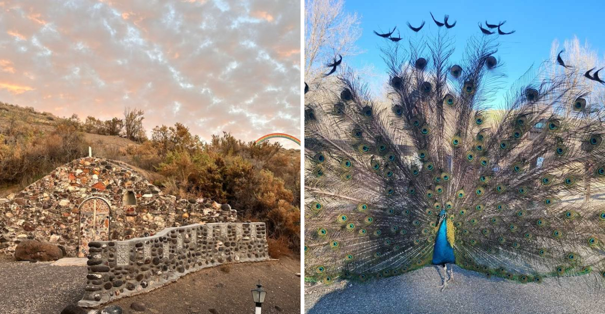 This Charming Idaho Trail Feels Like A Fairytale With Peacocks Around Every Corner - Decor Hint