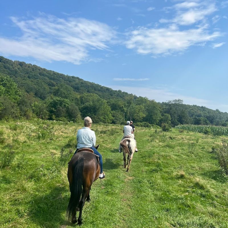 Guided Trail Rides Through Open Country