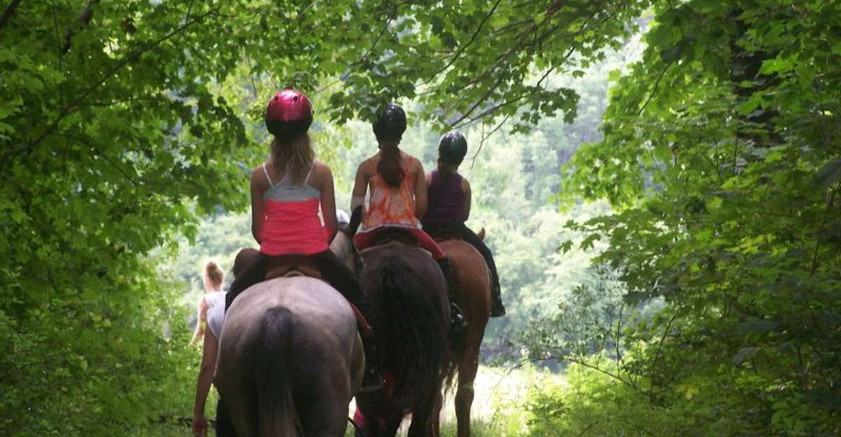 This Connecticut Horseback Riding Experience Feels Like A Real Escape - Decor Hint