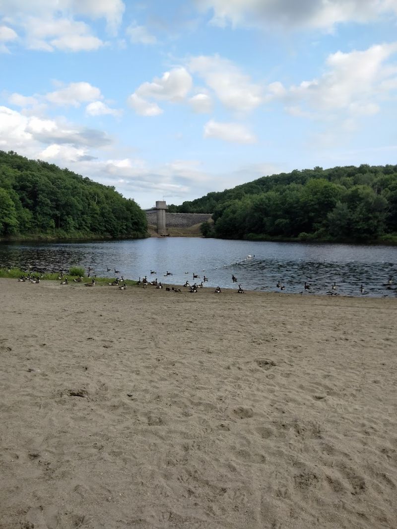 Start With The Swimming Area