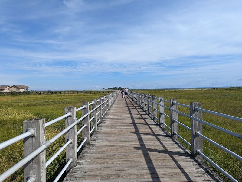 This Connecticut State Park Has One Of The Most Scenic Beach Walks On The Coast - Decor Hint The Boardwalk That Starts It All