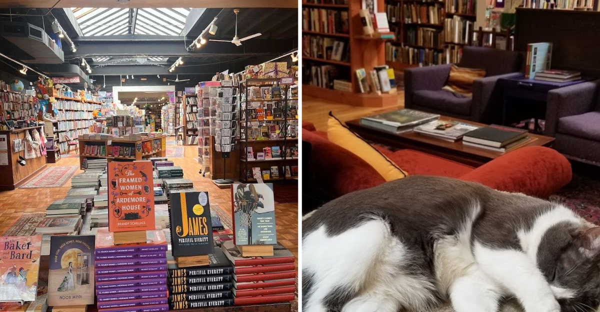 This Cozy Ohio Bookstore Feels Like A Paradise For Readers - Decor Hint
