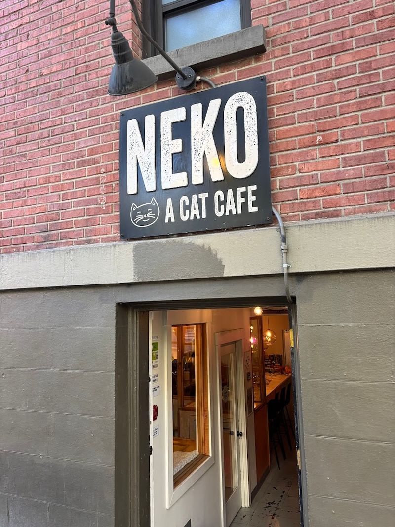 A Café And A Cat Lounge