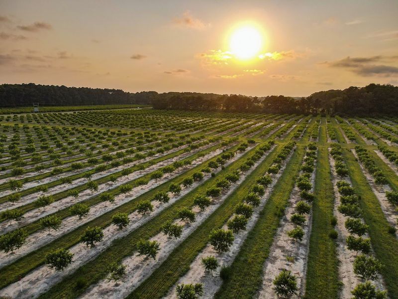 A Sixth-Generation Farm With Real Roots