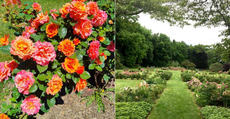 This Dreamy Botanical Garden In Connecticut Is Perfect For Stress-Free Weekend Trips