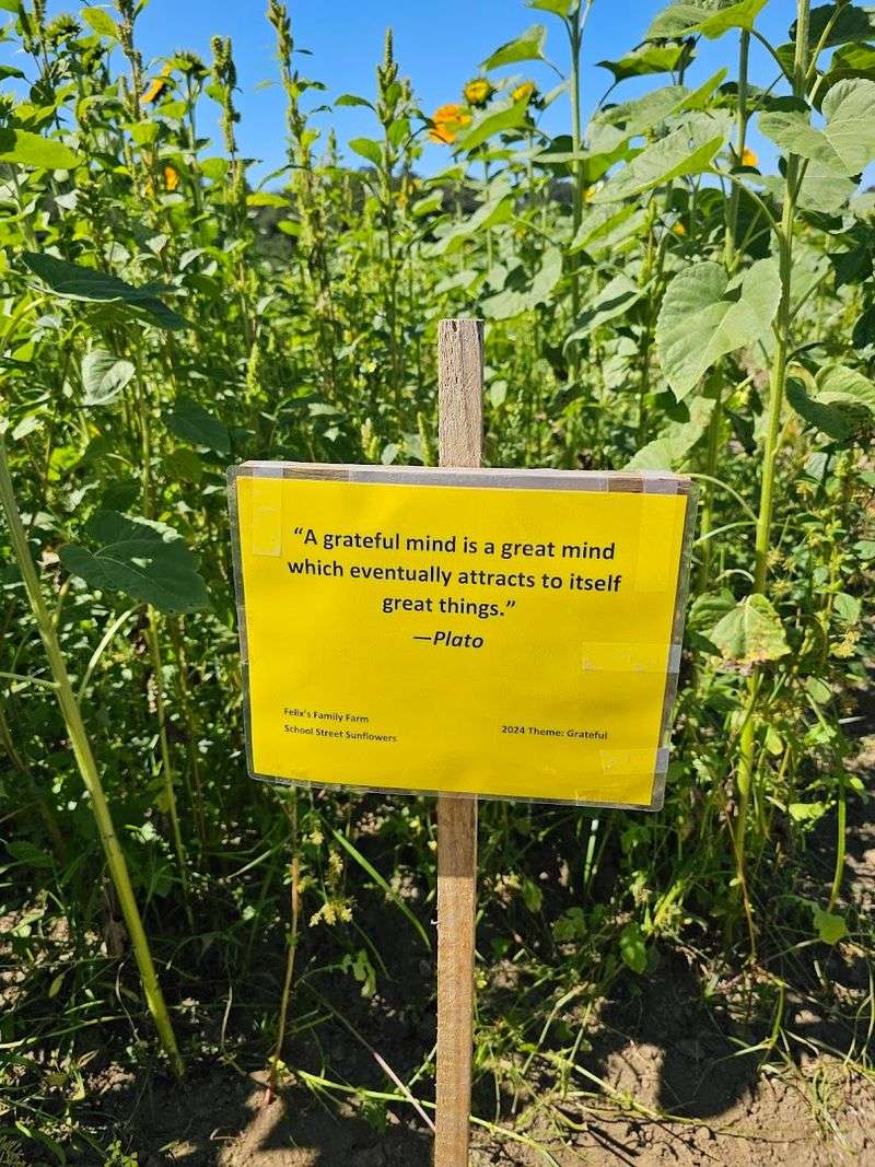 A Farm With Deep Roots