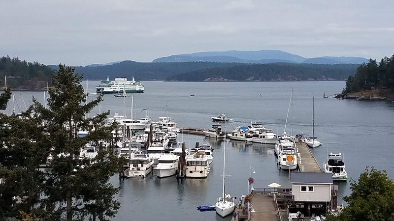 Ferry Arrival Experience