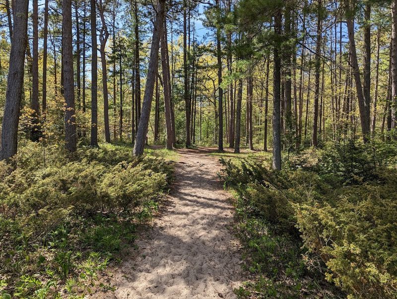 The Trail That Starts Small But Delivers Big