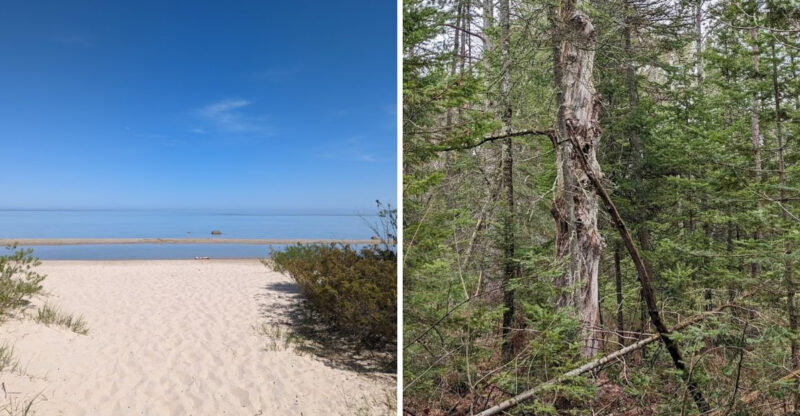 This Enigmatic 1-Mile Trail Leads To A Forgotten 19th-Century Ghost Town In Michigan