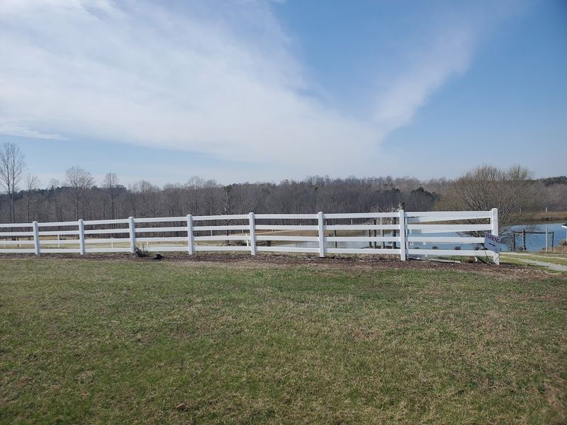 Few People Know North Carolina Has A Buffalo Farm Where You Can Meet The Herd - Decor Hint Families Get A Wild Animal Encounter Without Leaving The Piedmont