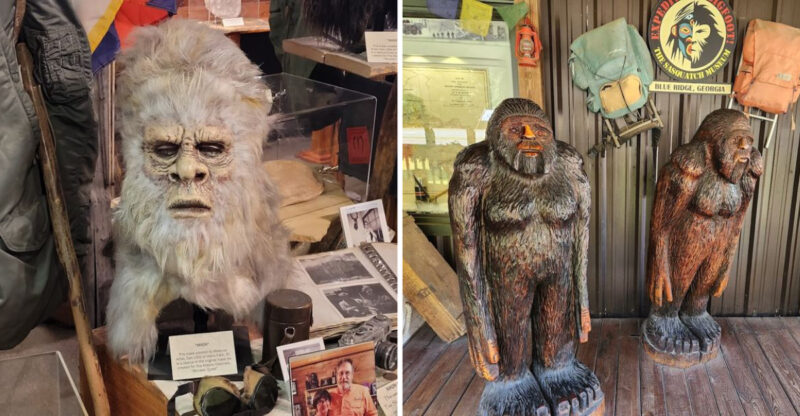 This Fascinating Georgia Museum Is Devoted Entirely To The Long Hunt For Bigfoot